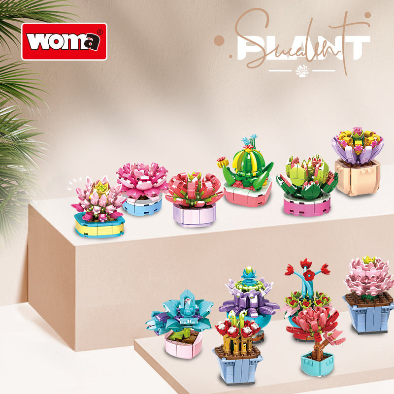 WOMA 8844 – Mini-Sukkulenten (18 Motive) – Produktansicht 3 von 17