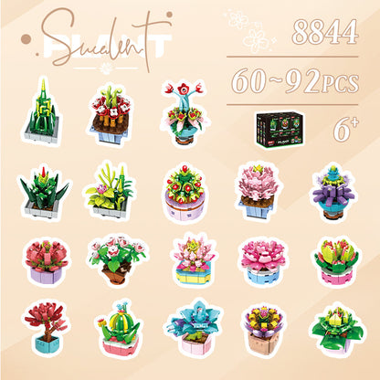 WOMA 8844 – Mini-Sukkulenten (18 Motive) – Produktansicht 5 von 17