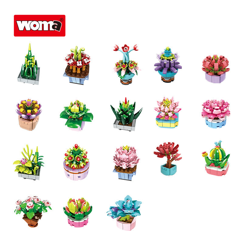 WOMA 8844 – Mini-Sukkulenten (18 Motive) – Produktansicht 7 von 17
