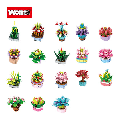 WOMA 8844 – Mini-Sukkulenten (18 Motive) – Produktansicht 7 von 17