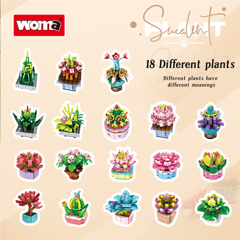 WOMA 8844 – Mini-Sukkulenten (18 Motive) – Produktansicht 8 von 17