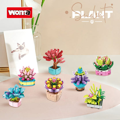 WOMA 8844 – Mini-Sukkulenten (18 Motive) – Produktansicht 9 von 17