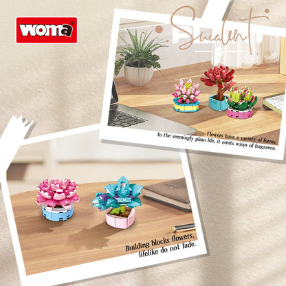 WOMA 8844 – Mini-Sukkulenten (18 Motive) – Produktansicht 10 von 17